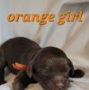 orange girl