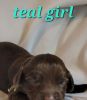 teal girl